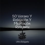 50 Verano Y Relajación Y Meditación Relajante
