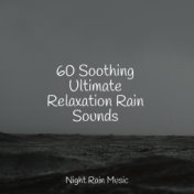 60 Soothing Ultimate Relaxation Rain Sounds
