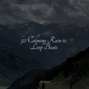 50 Calming Rain to Loop Beats