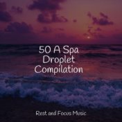 50 A Spa Droplet Compilation