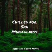 Chilled for Spa Mindfulness