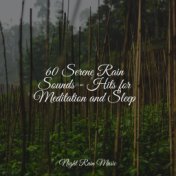 60 Serene Rain Sounds - Hits for Meditation and Sleep