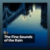 The Fine Sounds of the Rain