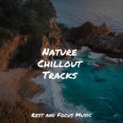 Nature Chillout Tracks