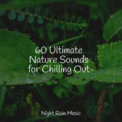 60 Ultimate Nature Sounds for Chilling Out