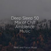 Deep Sleep 50 Mix of Chill Ambience Music