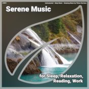 ! #0001 Serene Music for Sleep, Relaxation, Reading, Work
