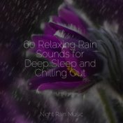 60 Relaxing Rain Sounds for Deep Sleep and Chilling Out