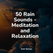50 Rain Sounds - Meditation and Relaxation