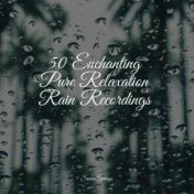 50 Enchanting Pure Relaxation Rain Recordings