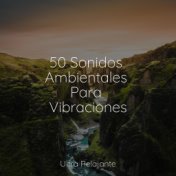 50 Sonidos Ambientales Para Vibraciones
