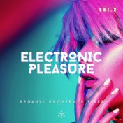 Electronic Pleasure, Vol. 2 (Organic Downtempo Vibes)