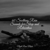 60 Soothing Rain Sounds for Sleep and Relaxation