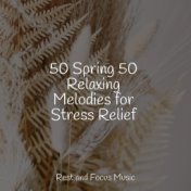 50 Spring 50 Relaxing Melodies for Stress Relief