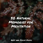 50 Natural Memories for Meditation