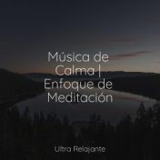 Música de Calma | Enfoque de Meditación