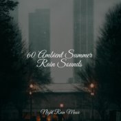 60 Ambient Summer Rain Sounds