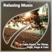 ! #0001 Relaxing Music to Calm Down, for Sleep, Yoga, Dogs & Cats