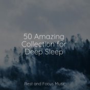 50 Amazing Collection for Deep Sleep