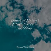 Sounds of Nature | Meditation Focus and Sleep