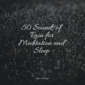 50 Sounds of Rain for Meditation and Sleep