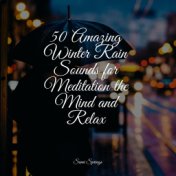 50 Amazing Winter Rain Sounds for Meditation the Mind and Relax