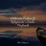 Colección Calma Y Relajación | Sueño Profundo
