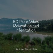 50 Pure Vibes Relaxation and Meditation