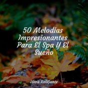 50 Melodías Impresionantes Para El Spa Y El Sueño