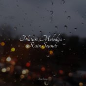 50 Rain Sounds for Sleep and Serenity