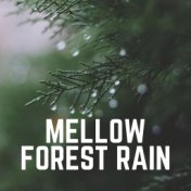 Mellow Forest Rain