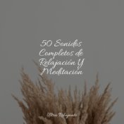 50 Sonidos Completos de Relajación Y Meditación