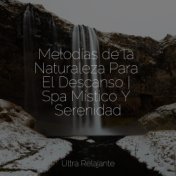 Melodías de la Naturaleza Para El Descanso | Spa Místico Y Serenidad