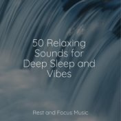 50 Relaxing Sounds for Deep Sleep and Vibes