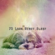 73 Long Night Sleep
