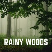 Rainy Woods