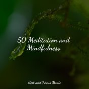 50 Meditation and Mindfulness