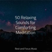 50 Relaxing Sounds for Comforting Meditation