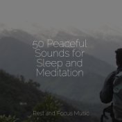 50 Peaceful Sounds for Sleep and Meditation