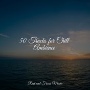 50 Tracks for Chill Ambience