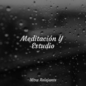 Meditación Y Estudio