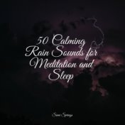 50 Calming Rain Sounds for Meditation and Sleep