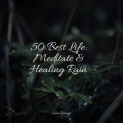 50 Best Life: Meditate & Healing Rain