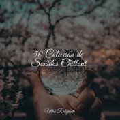 50 Colección de Sonidos Chillout