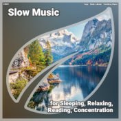 ! #0001 Slow Music for Sleeping, Relaxing, Reading, Concentration