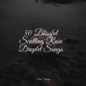 50 Blissful Scatting Rain Droplet Songs