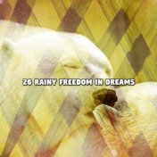 26 Rainy Freedom In Dreams