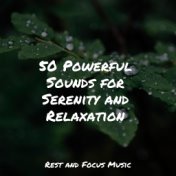 50 Powerful Sounds for Serenity and Relaxation