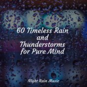 60 Timeless Rain and Thunderstorms for Pure Mind