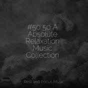 #50 50 A Absolute Relaxation Music Collection